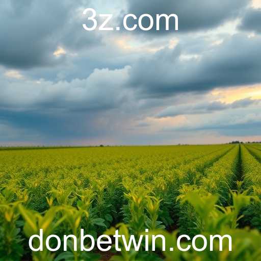 Expansão Implacável do Donbet no Brasil